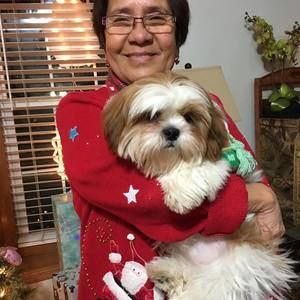 Meet your Posher, Owida